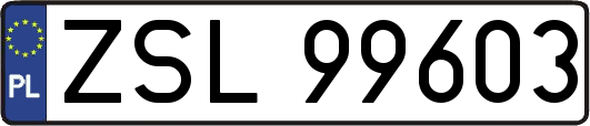 ZSL99603