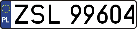 ZSL99604