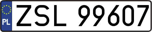 ZSL99607