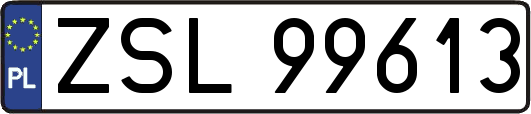 ZSL99613