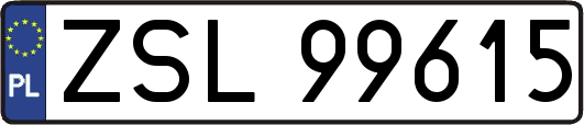 ZSL99615