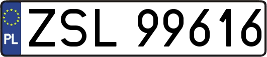 ZSL99616
