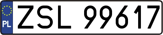 ZSL99617