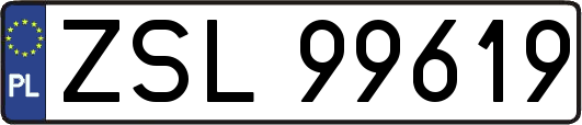 ZSL99619