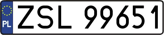 ZSL99651