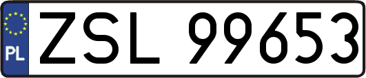 ZSL99653