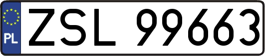 ZSL99663