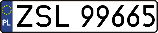 ZSL99665