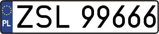 ZSL99666