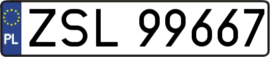 ZSL99667