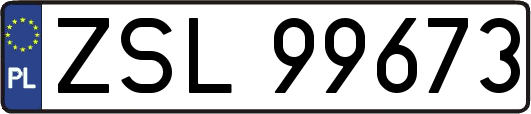 ZSL99673