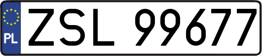 ZSL99677