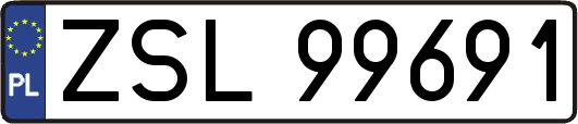 ZSL99691