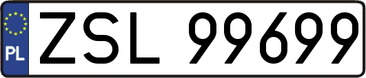 ZSL99699