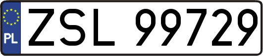 ZSL99729