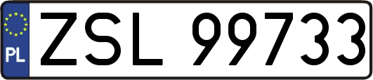 ZSL99733