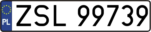 ZSL99739