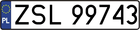 ZSL99743