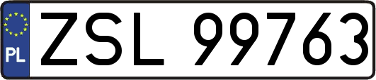 ZSL99763