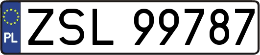 ZSL99787