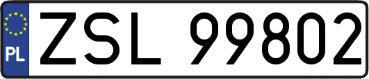 ZSL99802