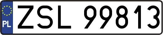ZSL99813