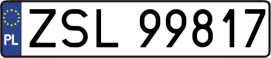 ZSL99817