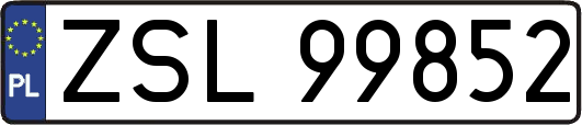 ZSL99852