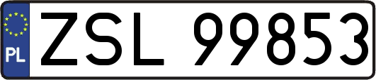 ZSL99853