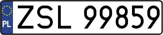 ZSL99859