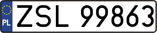 ZSL99863