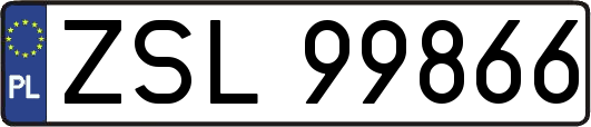 ZSL99866