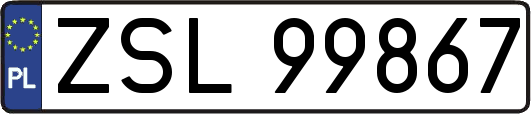 ZSL99867
