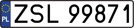 ZSL99871