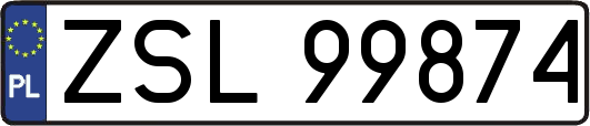 ZSL99874