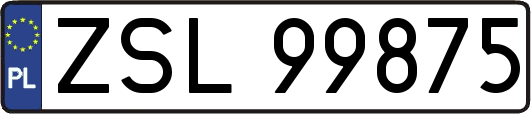 ZSL99875