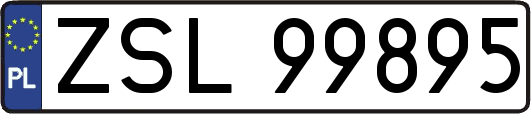 ZSL99895