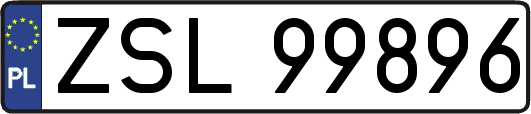 ZSL99896