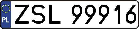 ZSL99916