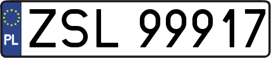ZSL99917