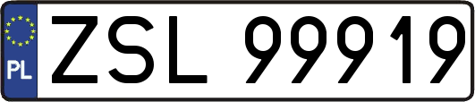 ZSL99919