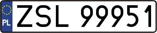 ZSL99951