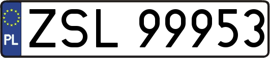 ZSL99953