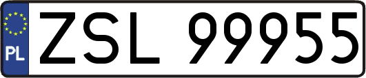 ZSL99955