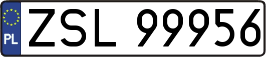 ZSL99956