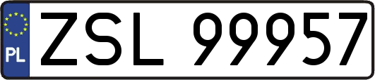 ZSL99957