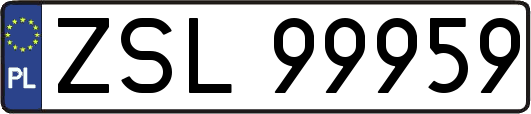 ZSL99959