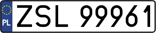 ZSL99961
