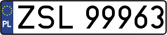 ZSL99963