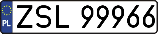 ZSL99966